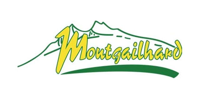 Réglement - Marché de Noël de Montgailhard